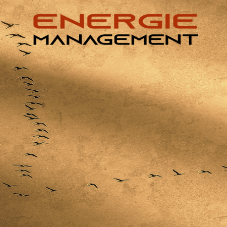 Energiemanagement